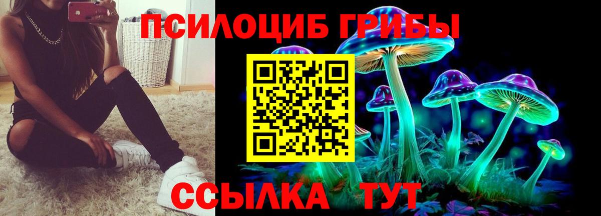 Галлюциногенные грибы мицелий  Вход с VPN  магазин продажи наркотиков  Мценск 